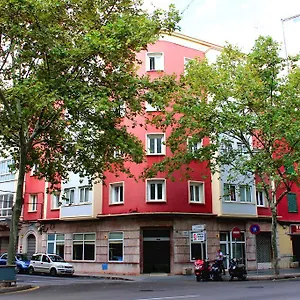 Colon Palma
