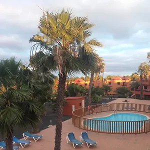 oasis-royal.in-canary-islands.com/